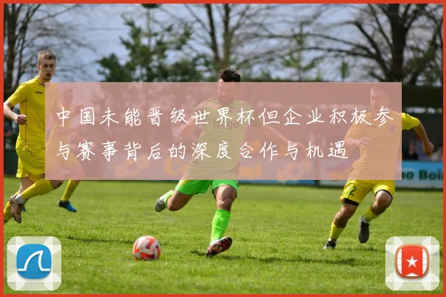 中国未能晋级世界杯但企业积极参与赛事背后的深度合作与机遇